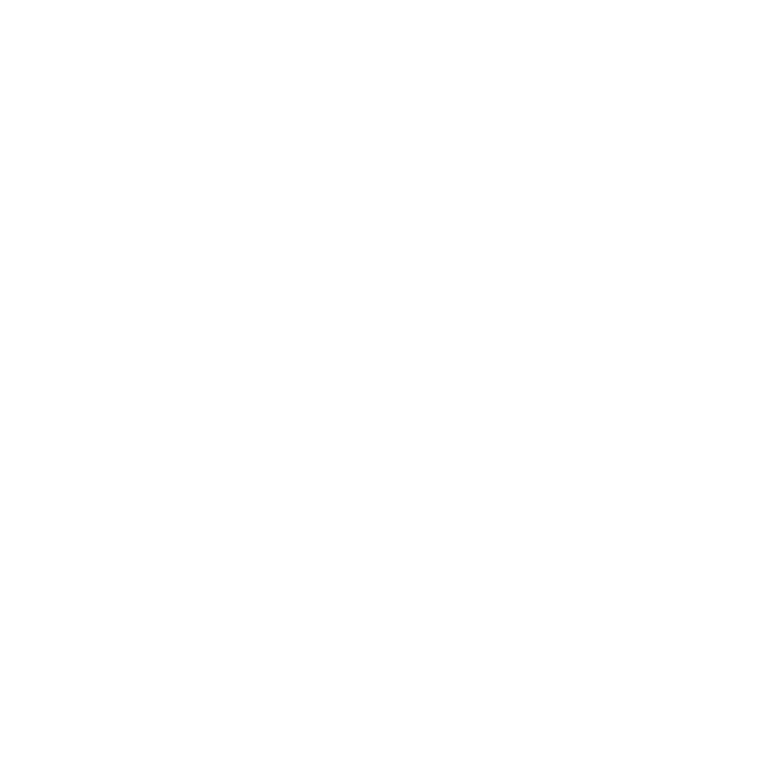 CarFlow logo